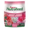 Amgrow Nutrafeed Gardenia/Azalea/Camellia Fertiliser 500g -Plant Care Shop 4971503 0 3