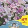 Mr Fothergill's Sweet Pea Tiller Girls Flowering Seed - 20 Pack 2 Mr Fothergill's Sweet Pea Tiller Girls Flowering Seed - 20 Pack -Plant Care Shop 5278338 1 2