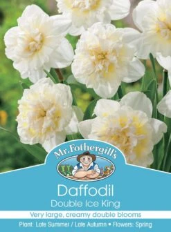 Mr Fothergill's Bulbs Daffodil Ice King 3 Bulbs