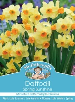 Mr Fothergill's Bulbs Daffodil Spring Sunshine 3 Bulbs