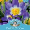 Mr Fothergill's Bulbs Dutch Crocus Sieberi 1 Mr Fothergill's Bulbs Dutch Crocus Sieberi -Plant Care Shop 5378195