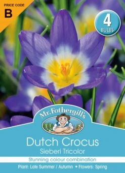 Mr Fothergill's Bulbs Dutch Crocus Sieberi