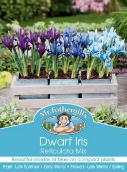 Mr Fothergill's Bulbs Iris Reticulata Mix 3 Bulbs