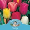 Mr Fothergill's Bulbs Tulip Single Late Mix 4 Bulbs