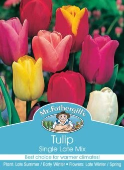Mr Fothergill's Bulbs Tulip Single Late Mix 4 Bulbs