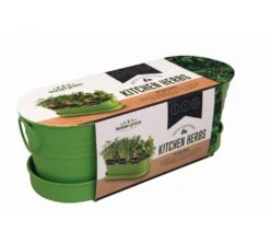 Grow Your Own Kitchen Herbs Windowsill Tin Kit