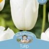 Mr Fothergill's Bulbs Tulip Silentia 4 Bulbs -Plant Care Shop 5691605