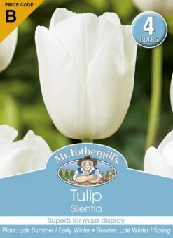 Mr Fothergill's Bulbs Tulip Silentia 4 Bulbs