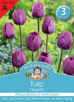 Mr Fothergill's Bulbs Tulip Negrita 3 Bulbs