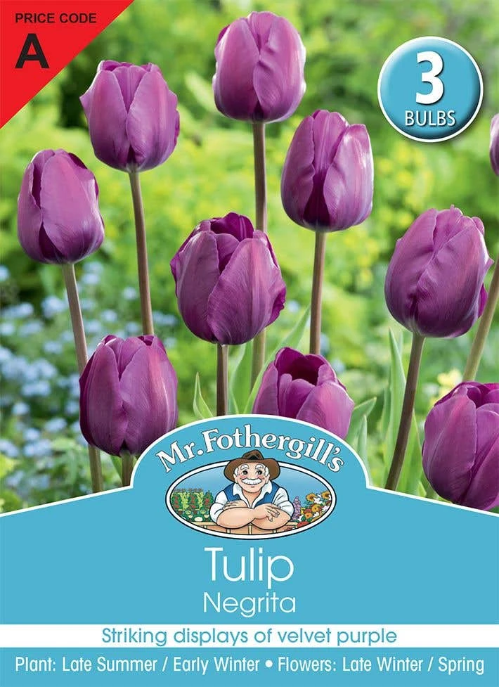 Mr Fothergill's Bulbs Tulip Negrita 3 Bulbs 3 Mr Fothergill's Bulbs Tulip Negrita 3 Bulbs