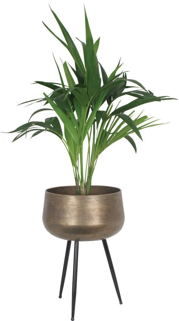 Takasho Moroccan Planter Bowl On Legs 3 Takasho Moroccan Planter Bowl On Legs