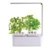 Mr Fothergill's Hydrogarden All-In-One Grow Kit 1 Mr Fothergill's Hydrogarden All-In-One Grow Kit -Plant Care Shop 6204234 0 1