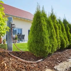 GARDENA Flex Water Computer -Plant Care Shop 6295935 6 2