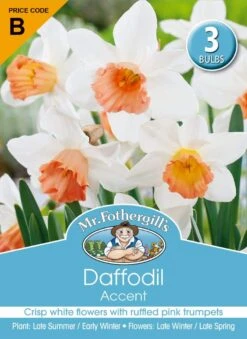 Mr Fothergill's Bulbs Daffodil Accent 3 Bulbs
