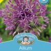 Mr Fothergill's Bulbs Allium Purple Rain -Plant Care Shop 6298616 3
