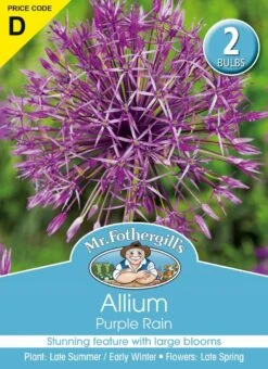 Mr Fothergill's Bulbs Allium Purple Rain