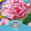Mr Fothergill's Bulbs Tulip Queensland 3 Bulbs -Plant Care Shop 6298624 3