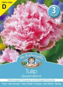 Mr Fothergill's Bulbs Tulip Queensland 3 Bulbs