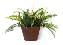 Garden Trend Bucket Wall Planter Rust 150 X 370 X 270mm -Plant Care Shop 6362214 2 857