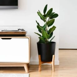 Jayda Pot With Stand - Black 165mm