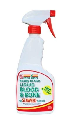 David Grays Blood & Bone With Seaweed