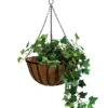Takasho Cathedral Hanging Basket -Plant Care Shop 6532584 0 1
