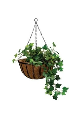 Takasho Cathedral Hanging Basket