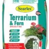 Searles Terrarium & Fern Specialty Mix 10L -Plant Care Shop 6555494 0 1