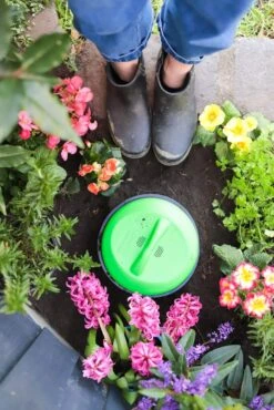 Tumbleweed In-Ground Worm Buffet -Plant Care Shop 6696645 3 4