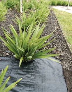 Coolaroo Weedmat Black 0.9 X 100m 7 Coolaroo Weedmat Black 0.9 X 100m -Plant Care Shop 6789606 2 1
