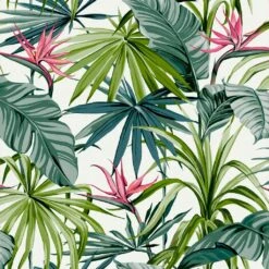 Easy Décor Wallpaper Bird Of Paradise Flower 520mm