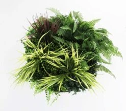 Grassy Fern Slimline UV Resistant Artificial Wall Disc White 500mm