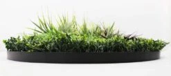 Grassy Fern Slimline UV Resistant Artificial Wall Disc Black 1m -Plant Care Shop 7029788 2 5