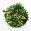 Grassy Fern Slimline UV Resistant Artificial Wall Disc White 800mm
