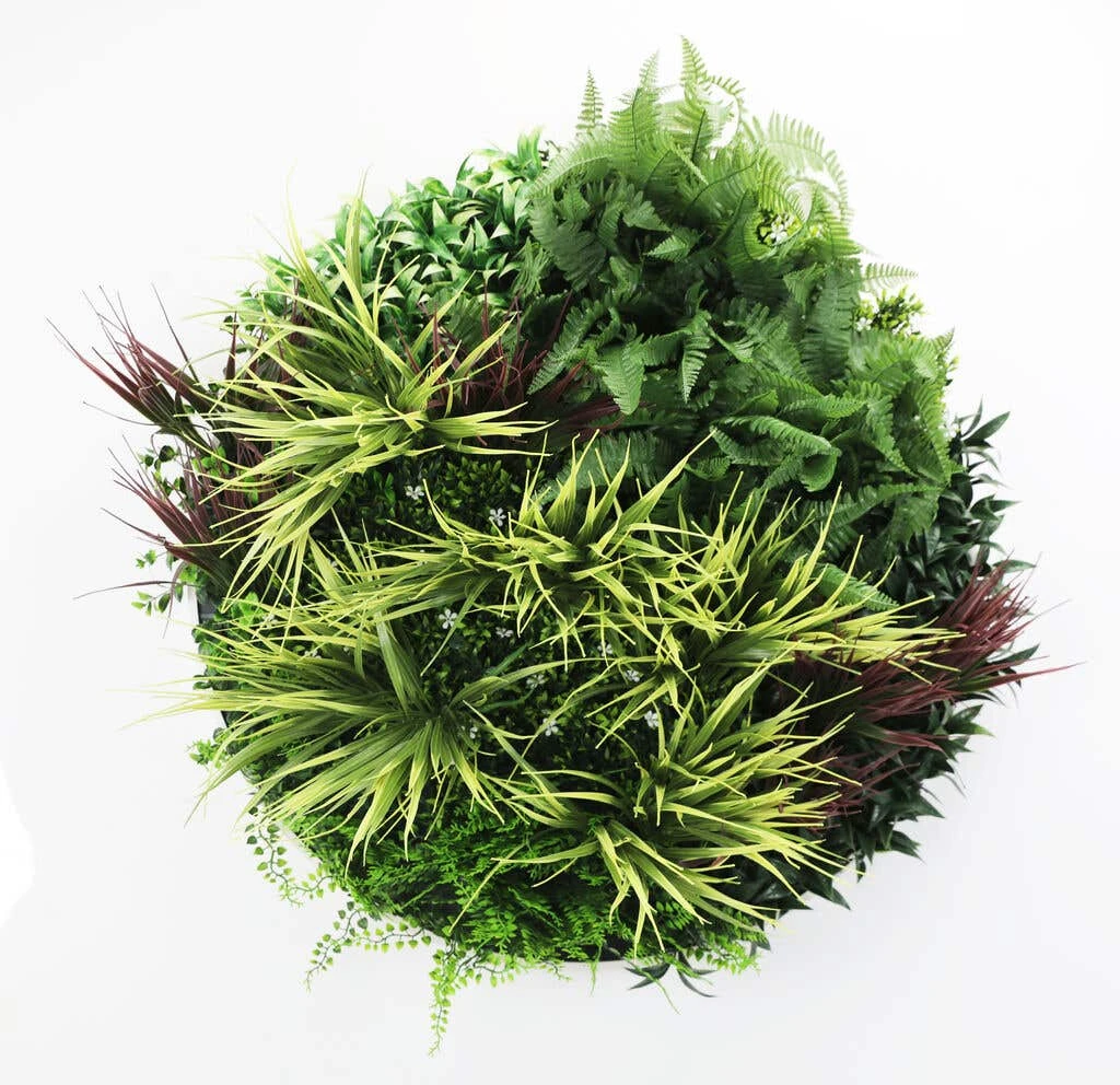 Grassy Fern Slimline UV Resistant Artificial Wall Disc White 800mm 3 Grassy Fern Slimline UV Resistant Artificial Wall Disc White 800mm