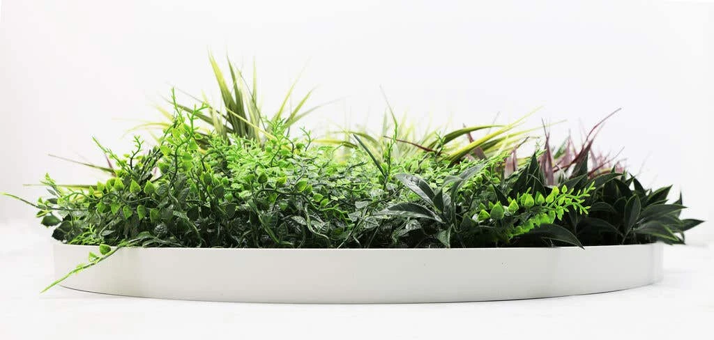 Grassy Fern Slimline UV Resistant Artificial Wall Disc White 800mm 5 Grassy Fern Slimline UV Resistant Artificial Wall Disc White 800mm - Image 3