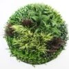 Grassy Fern Slimline UV Resistant Artificial Wall Disc White 1m 2 Grassy Fern Slimline UV Resistant Artificial Wall Disc White 1m -Plant Care Shop 7029804 0 5