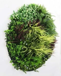 Grassy Fern Slimline UV Resistant Artificial Wall Disc White 1m 6 Grassy Fern Slimline UV Resistant Artificial Wall Disc White 1m -Plant Care Shop 7029804 1 5