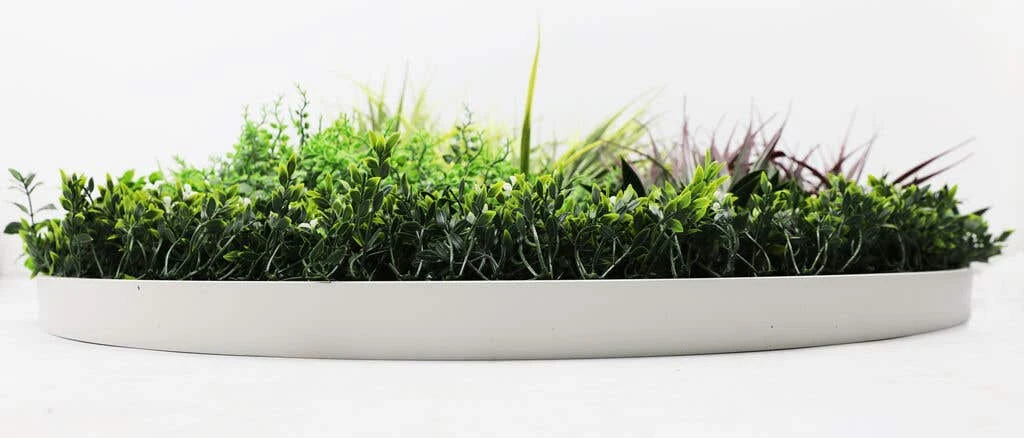 Grassy Fern Slimline UV Resistant Artificial Wall Disc White 1m 5 Grassy Fern Slimline UV Resistant Artificial Wall Disc White 1m - Image 3