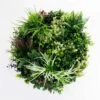Mixed Leaf Slimline UV Resistant Artificial Wall Disc White 600mm -Plant Care Shop 7029812 0 5