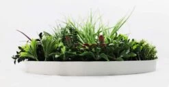 Mixed Leaf Slimline UV Resistant Artificial Wall Disc White 600mm -Plant Care Shop 7029812 2 5