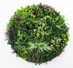 Mixed Leaf Slimline UV Resistant Artificial Wall Disc Black 1m