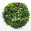 Mixed Leaf Slimline UV Resistant Artificial Wall Disc White 1m 2 Mixed Leaf Slimline UV Resistant Artificial Wall Disc White 1m -Plant Care Shop 7029846 0 5