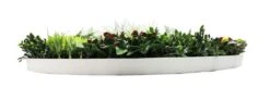 Mixed Leaf Slimline UV Resistant Artificial Wall Disc White 1m -Plant Care Shop 7029846 2 5