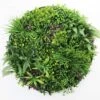 Country Fern Slimline UV Resistant Artificial Wall Disc Black 1m 2 Country Fern Slimline UV Resistant Artificial Wall Disc Black 1m -Plant Care Shop 7029853 0 5