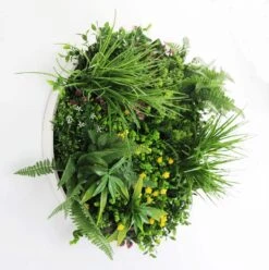 Country Fern Slimline UV Resistant Artificial Wall Disc White 600mm -Plant Care Shop 7029861 1 5