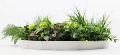 Country Fern Slimline UV Resistant Artificial Wall Disc White 600mm -Plant Care Shop 7029861 2 5