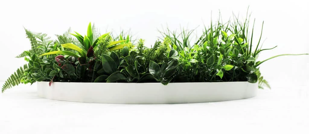 Country Fern Slimline UV Resistant Artificial Wall Disc White 800mm 5 Country Fern Slimline UV Resistant Artificial Wall Disc White 800mm - Image 3