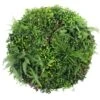 Country Fern Slimline UV Resistant Artificial Wall Disc White 1m