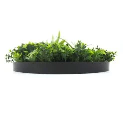 White Flowering UV Resistant Artificial Wall Disc Black 750mm -Plant Care Shop 7029911 5 6